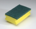 Green-Yellow Sponge Scourer